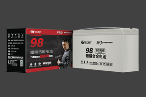 6-FD-86久汇·银锡合金电池