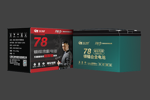 6-EVF-68.9久汇·银锡合金电池