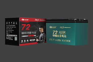 6-EVF-58.9久汇·银锡合金电池