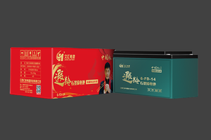 6-FD-14久汇遐龄石墨烯电池