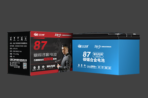 6-FD-76久汇·银锡合金电池