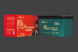 6-FD-48久汇遐龄石墨烯电池