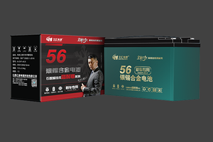 6-EVF-45.9久汇·银锡合金电池