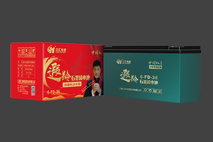 6-FD-36久汇遐龄石墨烯电池