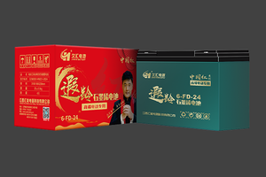 6-FD-24久汇遐龄石墨烯电池