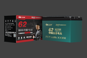 6-EVF-52.9久汇·银锡合金电池